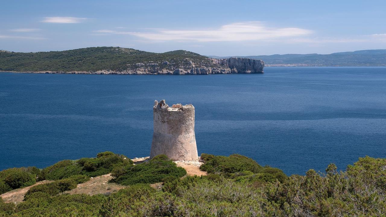 Cambiamenti climatici e reazioni a catena: che cos’è l’effetto domino