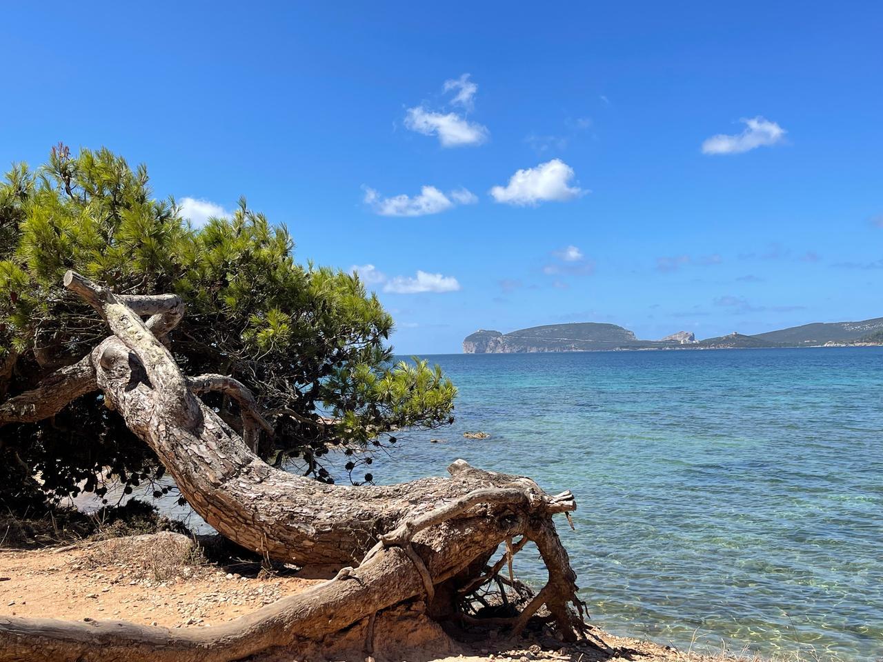 Salvare la nostra isola si può: i parchi sono trincee ambientali