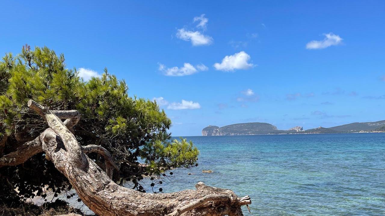 Salvare la nostra isola si può: i parchi sono trincee ambientali