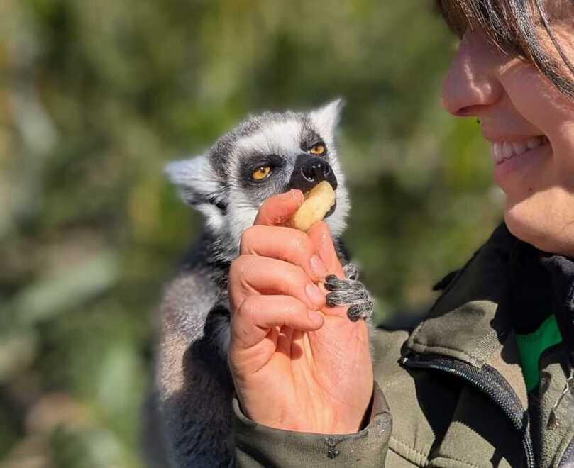 Un momento del training all’interno del parco zoologico Gallorose
