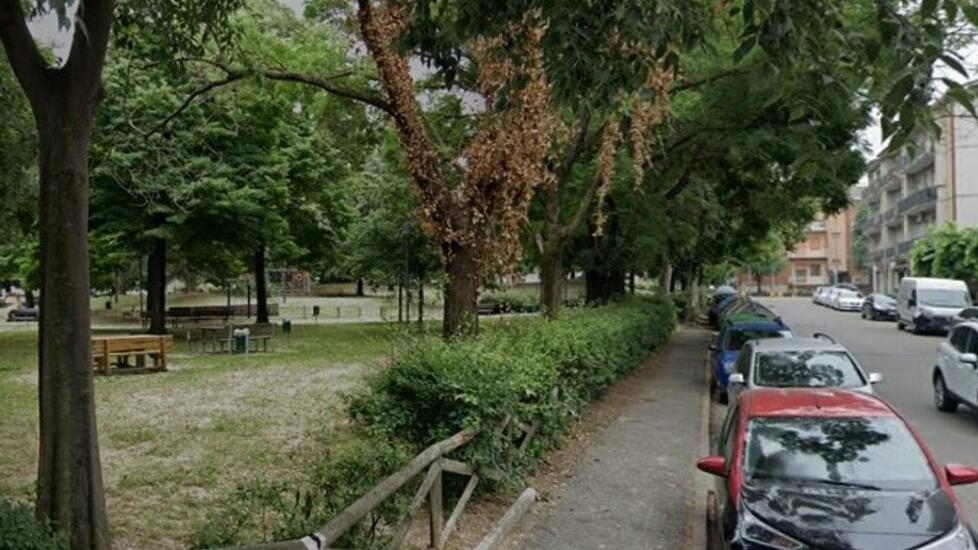 Ladri in azione a Sassuolo: «Erano in due, ma grazie ai nostri cani sono scappati. La situazione è preoccupante»<br type="_moz" />