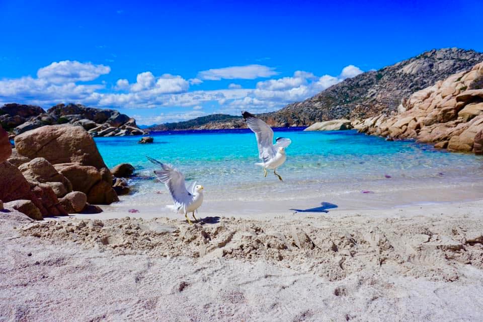 
	Cala Coticcio<em> (foto Fb Amanti di Cala Coticcio)</em>

