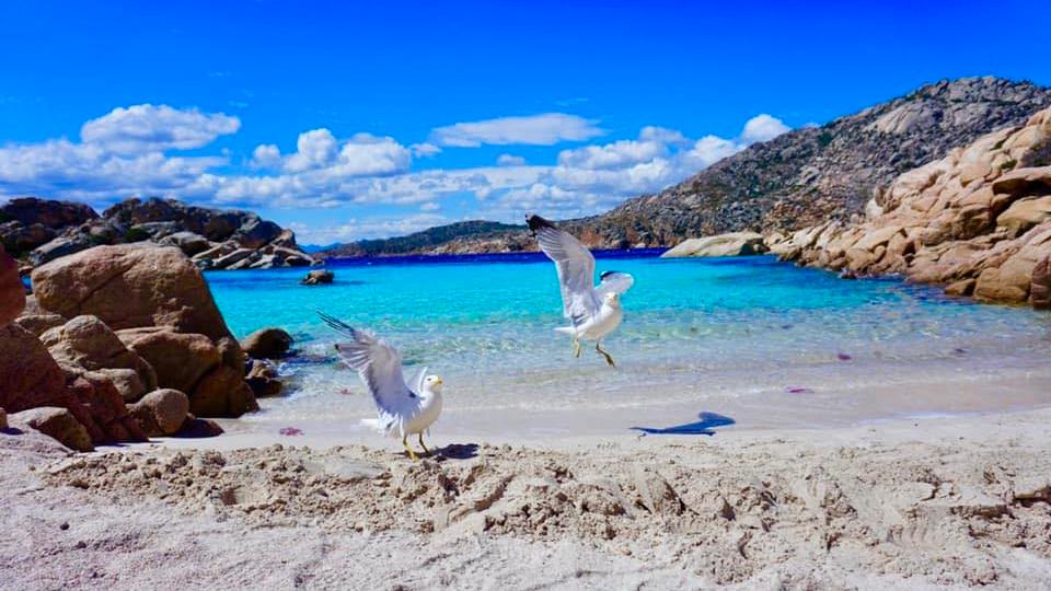 Cala Coticcio<em> (foto Fb Amanti di Cala Coticcio)</em>