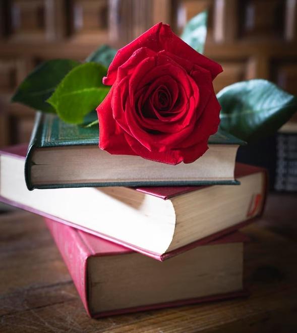 Un fiore a tutte le donne e un libro a tutti gli uomini: la tradizione spagnola sbarca anche a Viareggio