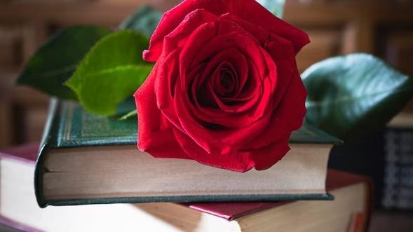 Un fiore a tutte le donne e un libro a tutti gli uomini: la tradizione spagnola sbarca anche a Viareggio