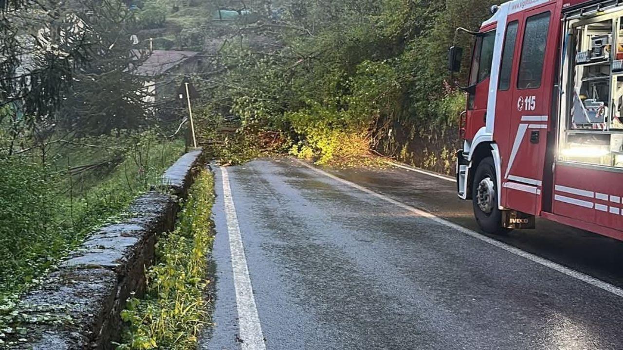 
	La frana lungo la strada

