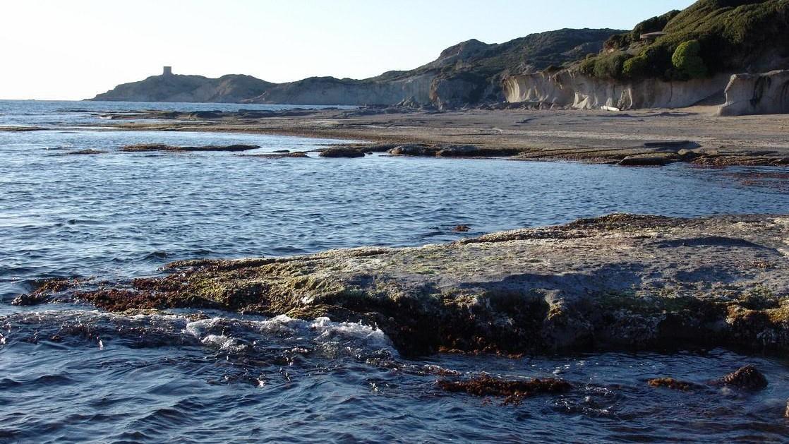 
	(Il tratto di costa in cui &egrave; stato trovato il cadavere)

