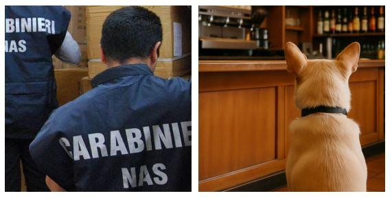 Dietro al bancone del bar c’è un cane: locale sanzionato dal Nas