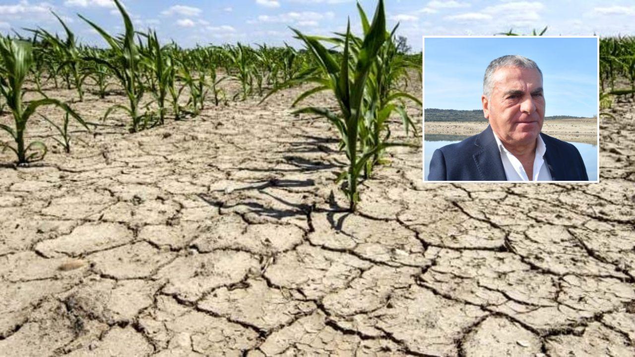 Parte la campagna irrigua, tante colture restano a secco