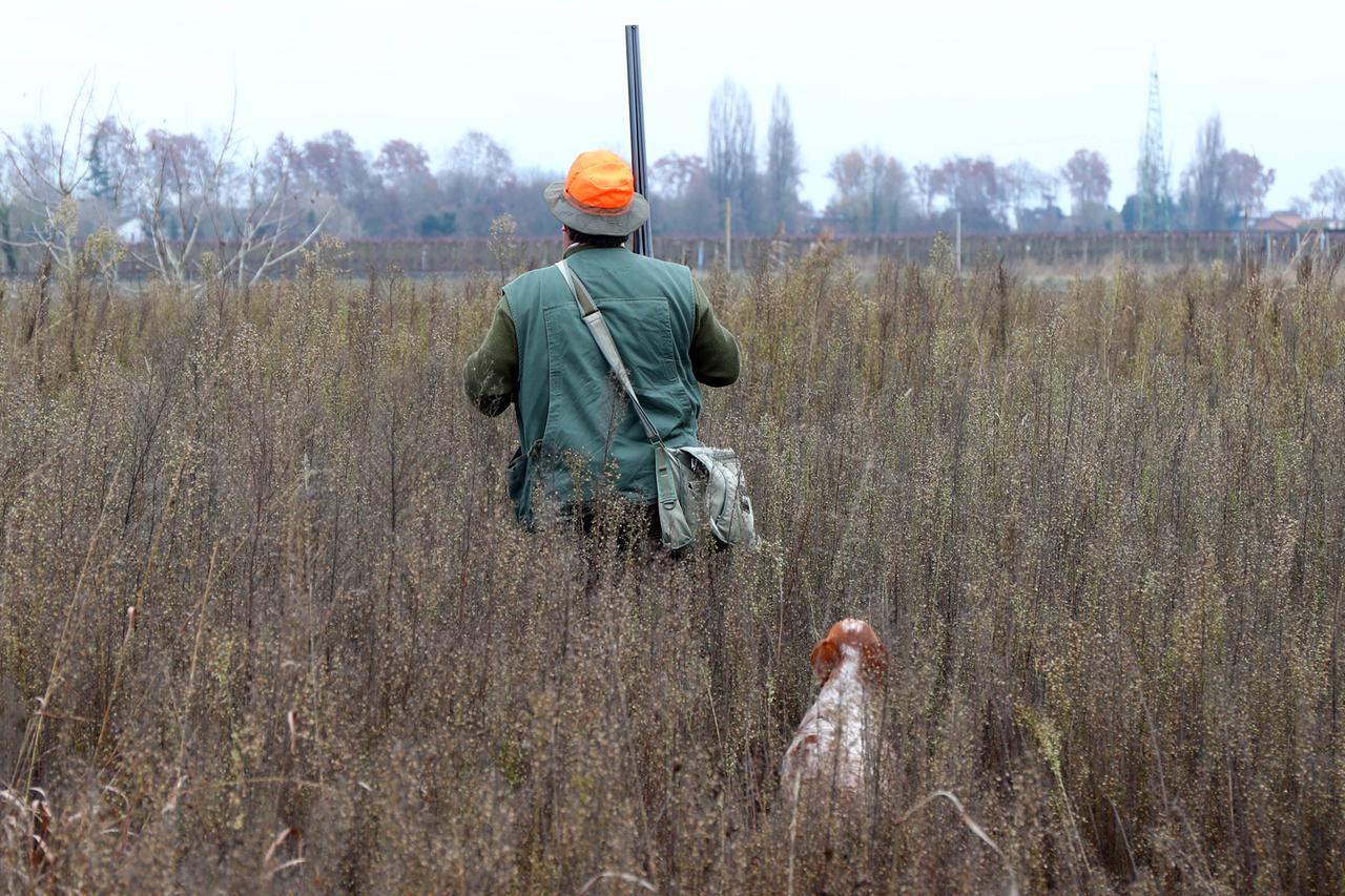 Ferrara, cacciò illegalmente uccelli selvatici: niente rinnovo del porto d’armi