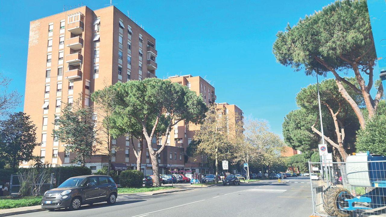 
	Una veduta di via Costanza nel quartiere di Salviano

