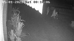 Caso Saman, quando giustizia e buon senso coincidono