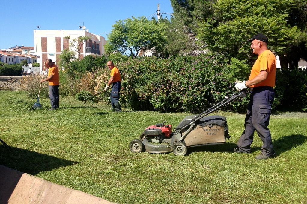 Verde pubblico, 62 candidati per sette posti da giardiniere