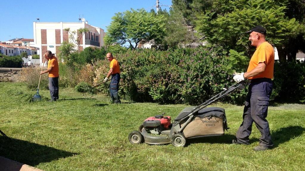 Verde pubblico, 62 candidati per sette posti da giardiniere