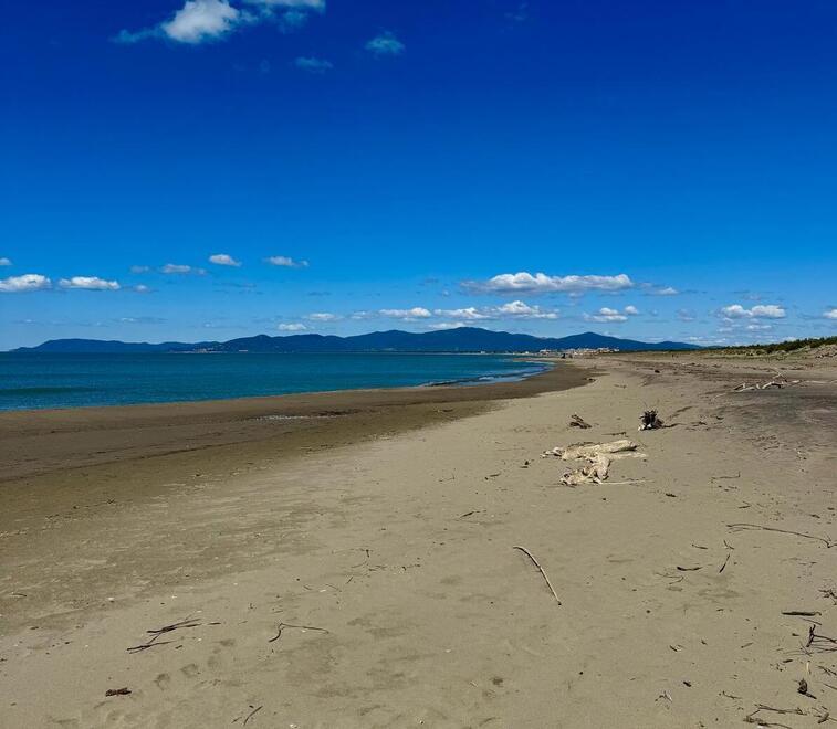 
	Il tratto di arenile che ospiter&agrave; il bagno Principina Beach

