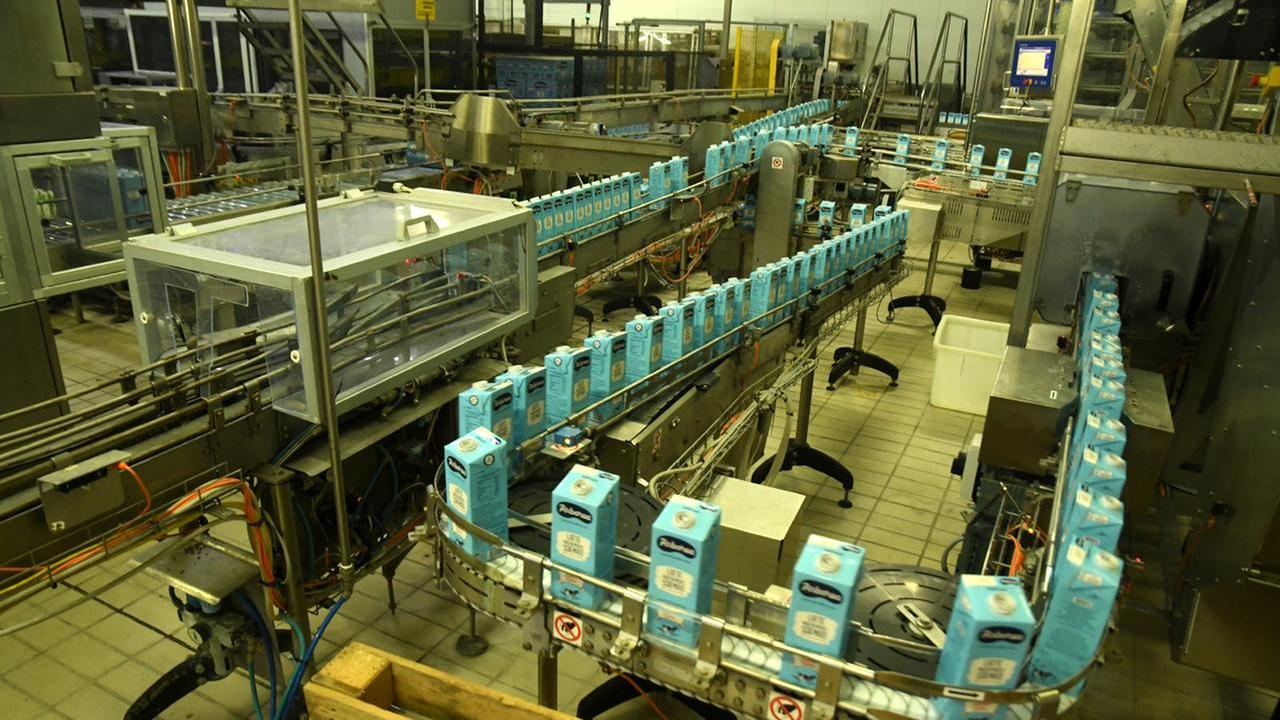 Agroindustria, speranze e potenzialità di un ettore strategico