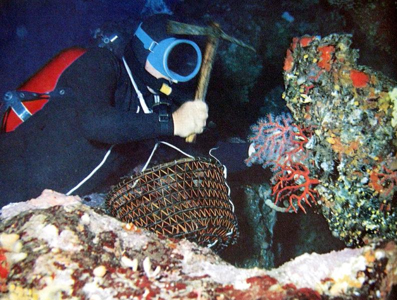 Corallo rosso, via libera della Regione alle nuove regole: pesca oltre gli 80 metri