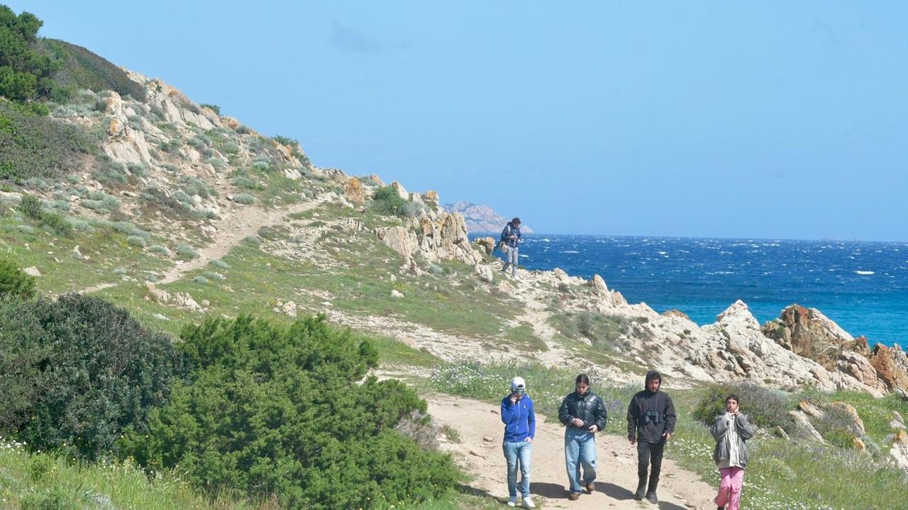 
	Un momento delle ricerche a Capo Figari


