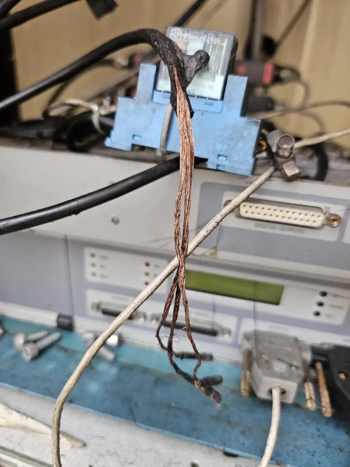 I roditori mangiano i cavi dell’antenna: gli abitanti di Ventasso restano senza televisione