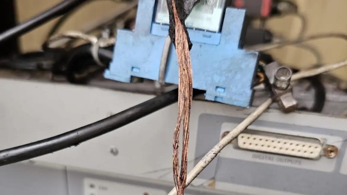 I roditori mangiano i cavi dell’antenna: gli abitanti di Ventasso restano senza televisione