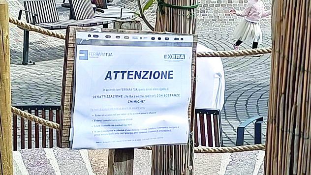 Topi in piazza Cortevecchia a Ferrara