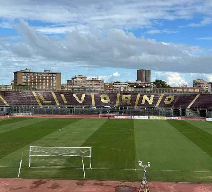 
	Uno scorcio del Picchi

