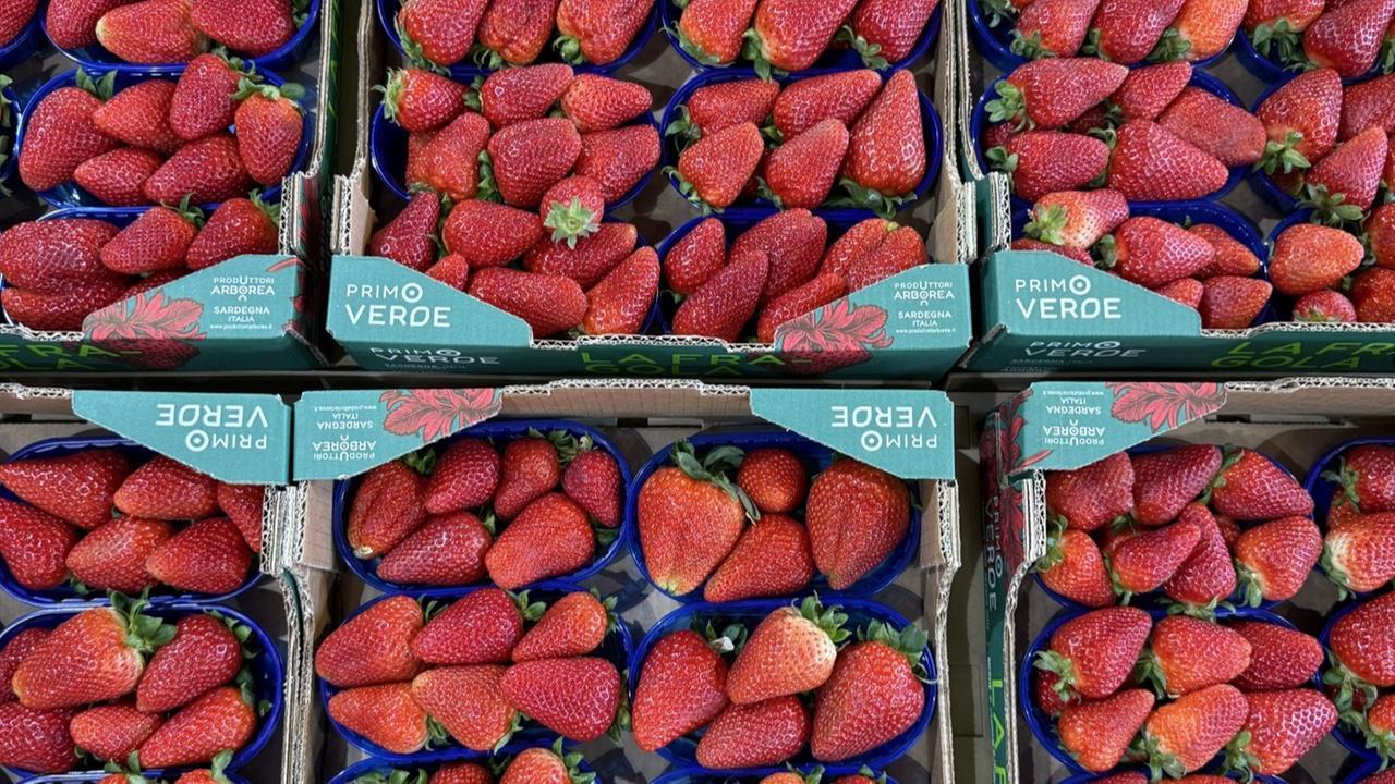 Il frutto rosso diventato eccellenza