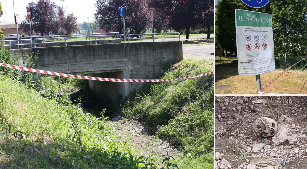 Bimbi giocano al parco e trovano un teschio umano nel canale: mistero a Reggio