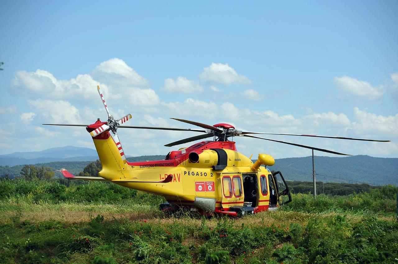 
	(foto di Giancarlo Grassi)

