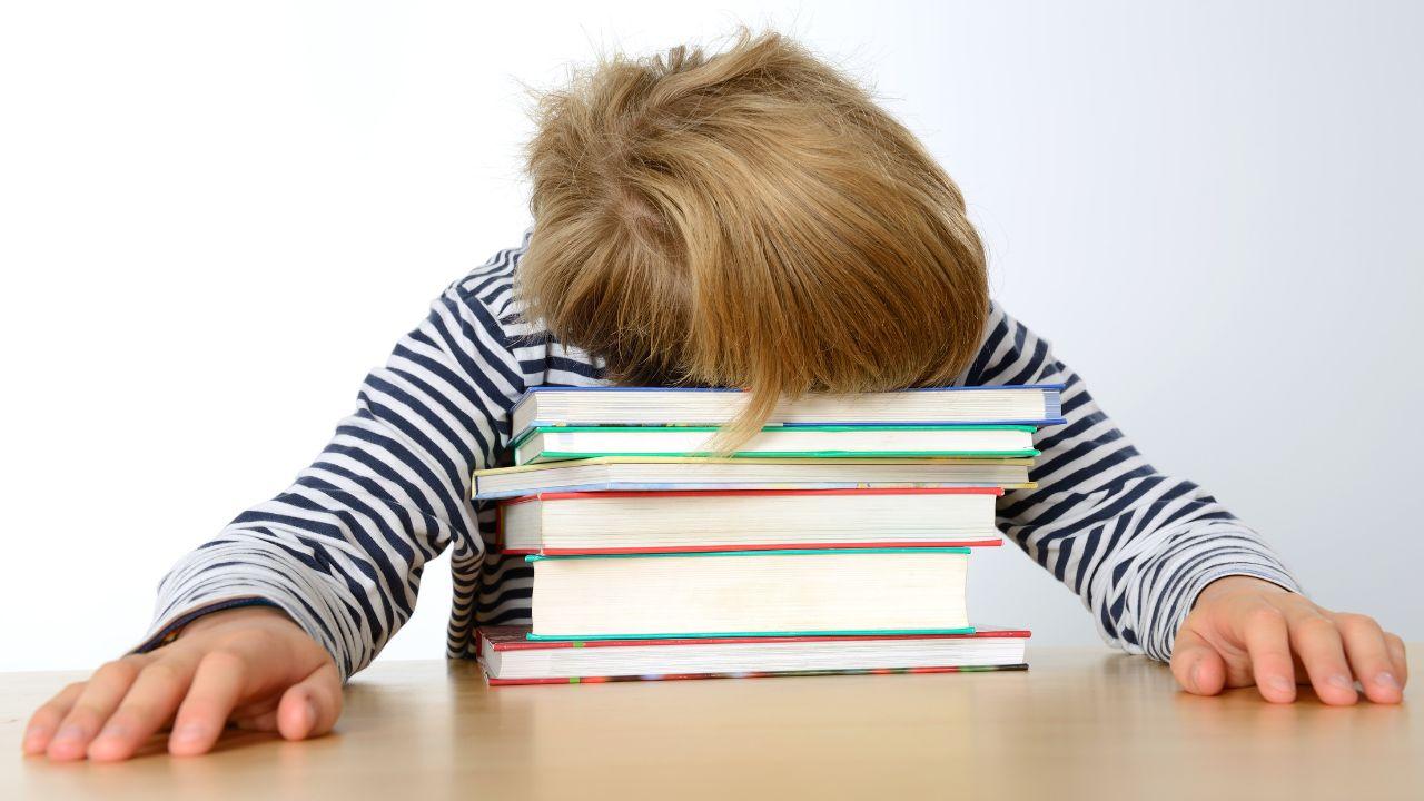 Compiti a casa e verifiche in classe: cosa prevede la nuova circolare del ministro Valditara