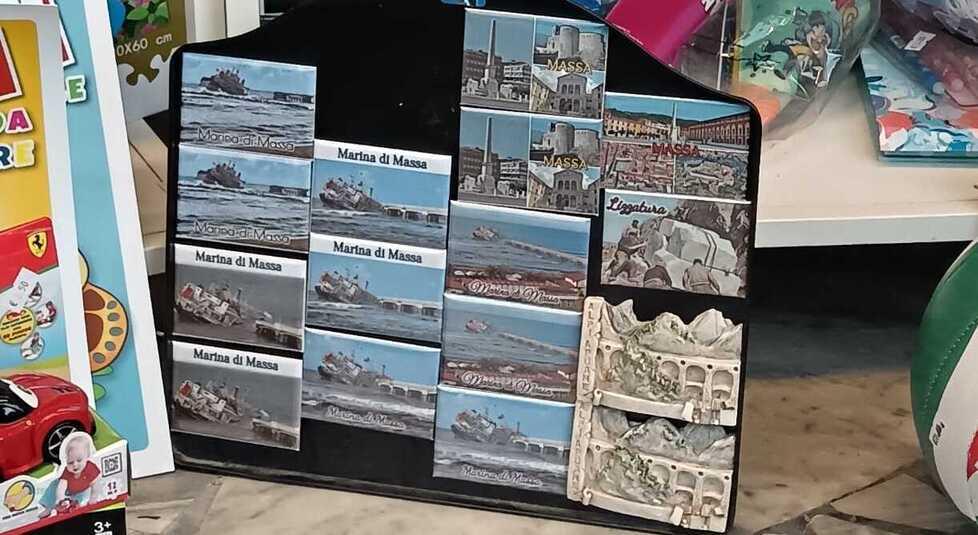 
	Le calamite esposte&nbsp;in uno dei negozi di souvenir a Massa

