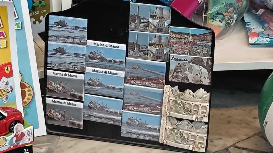 Le calamite esposte in uno dei negozi di souvenir a Massa