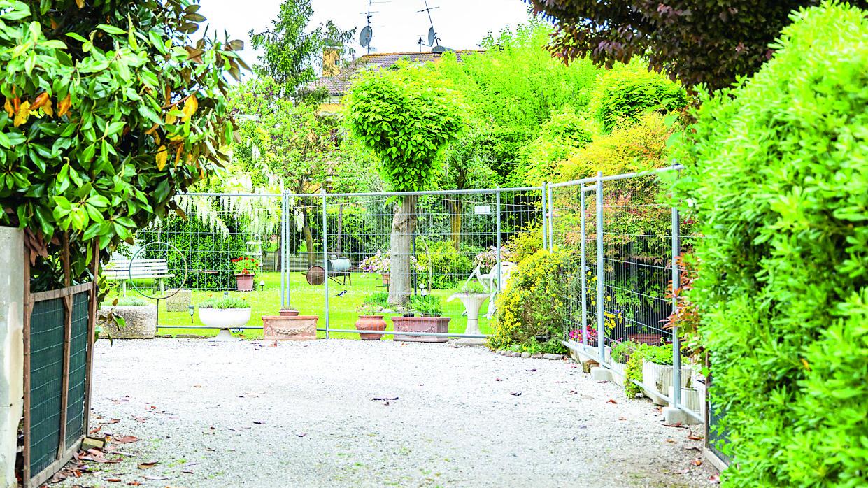 Boara, colpiti con il fucile da sub dal cugino. Coniugi Collini fuori pericolo