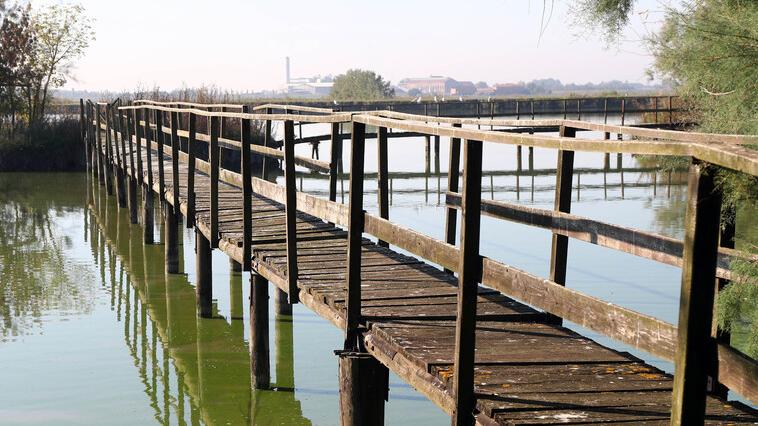 Oasi Trava e Anse, rinascono le zone umide di Portomaggiore