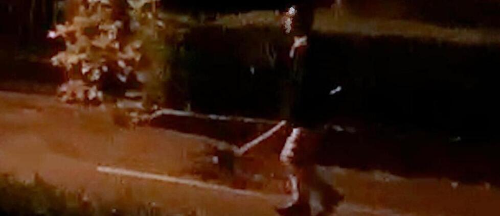 
	L'uomo armato di una mazza

