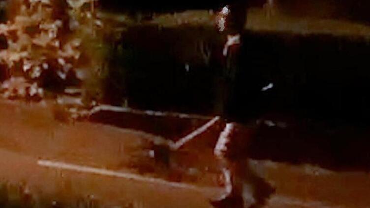 L'uomo armato di una mazza