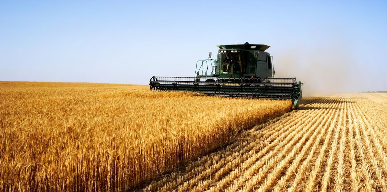 Emergenza idrica, stanziati 5 milioni per gli indennizzi agli allevatori