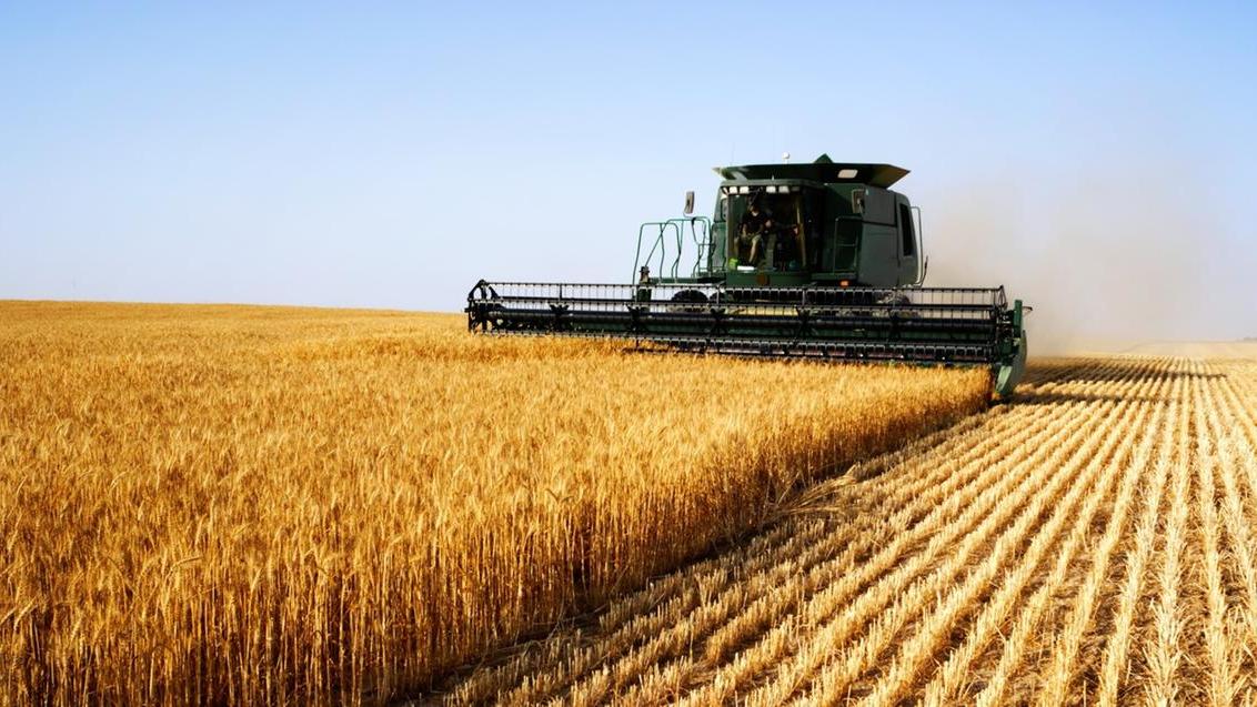 Emergenza idrica, stanziati 5 milioni per gli indennizzi agli allevatori