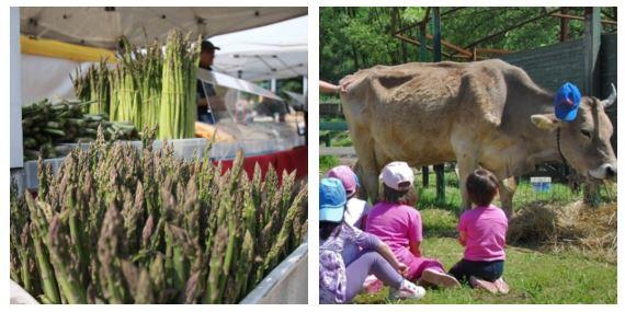 Dieci cose e più da fare nel week end del Primo Maggio a Reggio Emilia e provincia