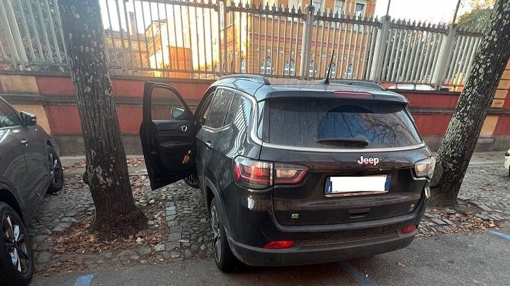 Auto fuori dagli stalli del parcheggio: dà la colpa agli alberi e la multa è annullata dal giudice di pace