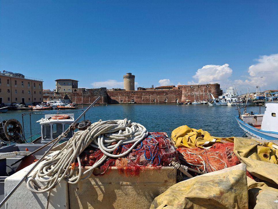 La Darsena di Livorno come un quadro. Grazie a Pier Luigi Frisini