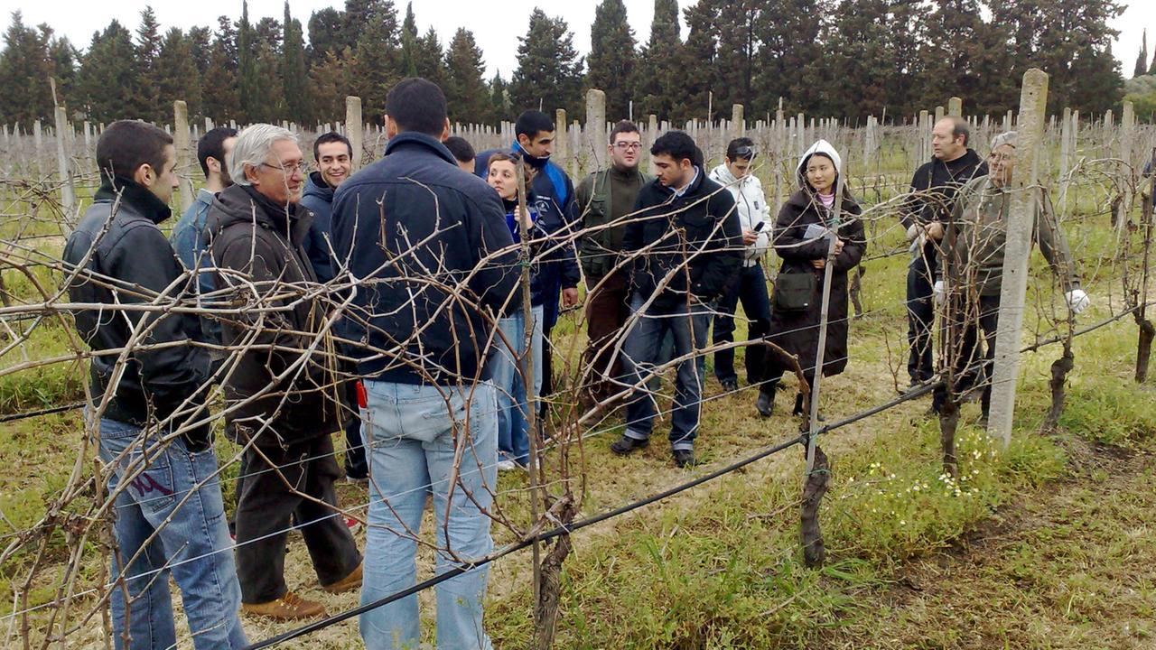 “Le parole del vino”: via al corso per imparare a raccontare i territori e i prodotti
