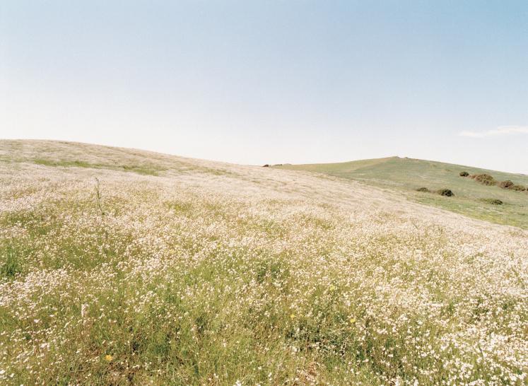 Al Mas.Edu di Sassari in mostra le foto dell’associazione Su Palatu