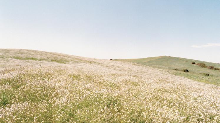 Al Mas.Edu di Sassari in mostra le foto dell’associazione Su Palatu