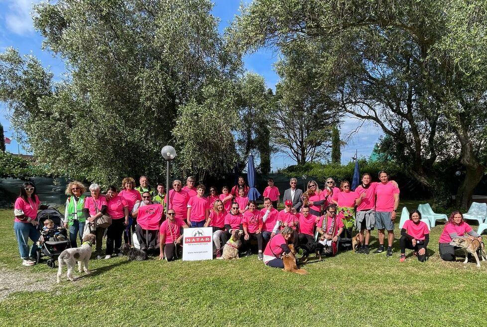 Corri e adotta un cane 