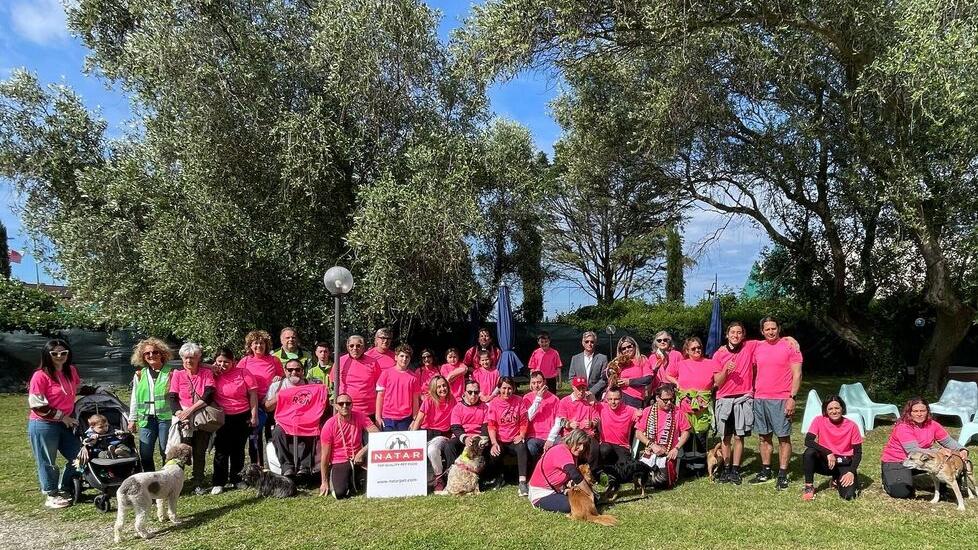 Corri e adotta un cane