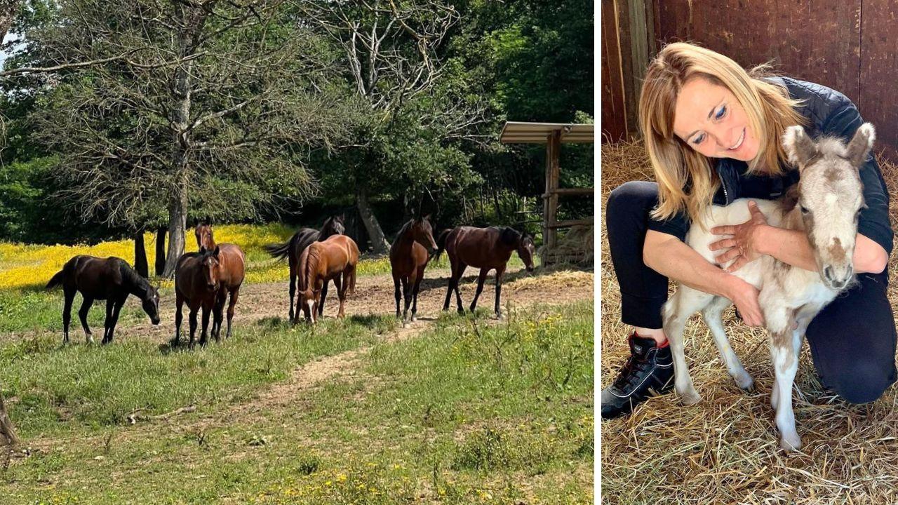 I cavalli del centro La Piaggia e la veterinaria Paola Marmorini