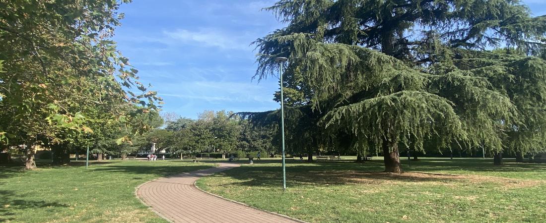 Prato pianta 713 alberi per migliorare la qualità dell’aria