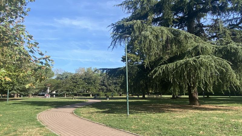 Prato pianta 713 alberi per migliorare la qualità dell’aria