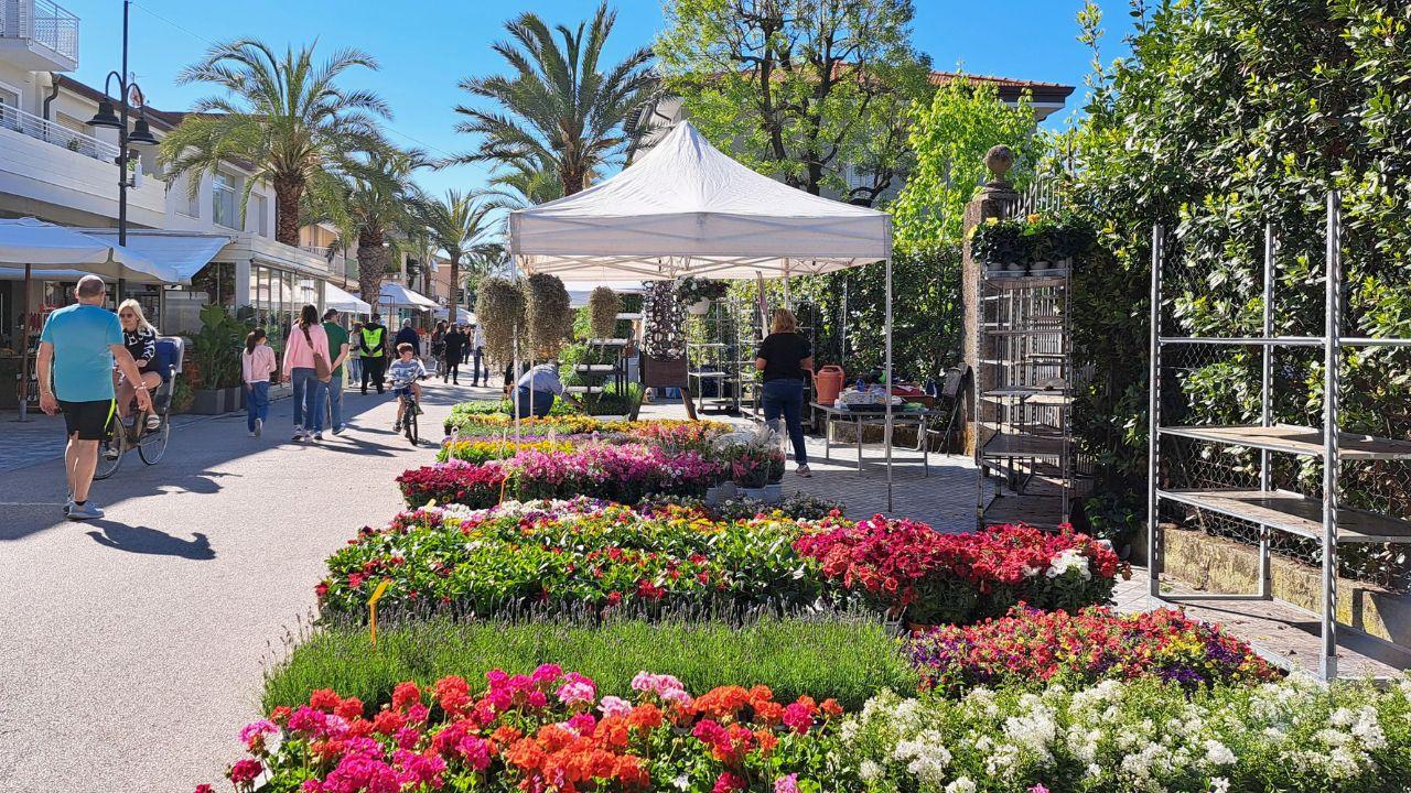 Tonfano avvolta dal verde di “Marina in Fiore"